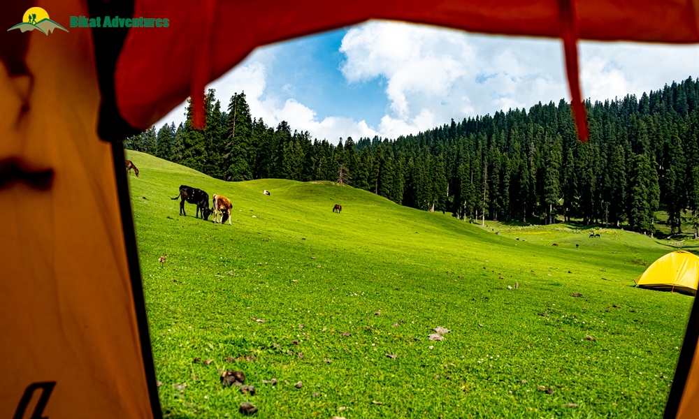 Tosa Maidan and Greater Lakes: An Introduction to an Enigma that is Kashmir