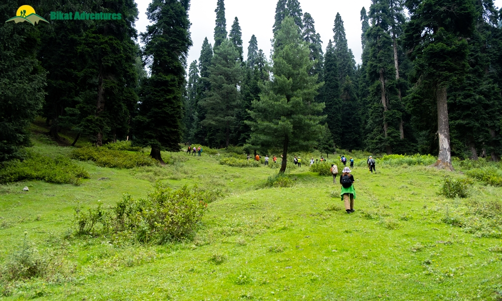 Tosa Maidan and Greater Lakes Trek: Who is this Trek Meant For?