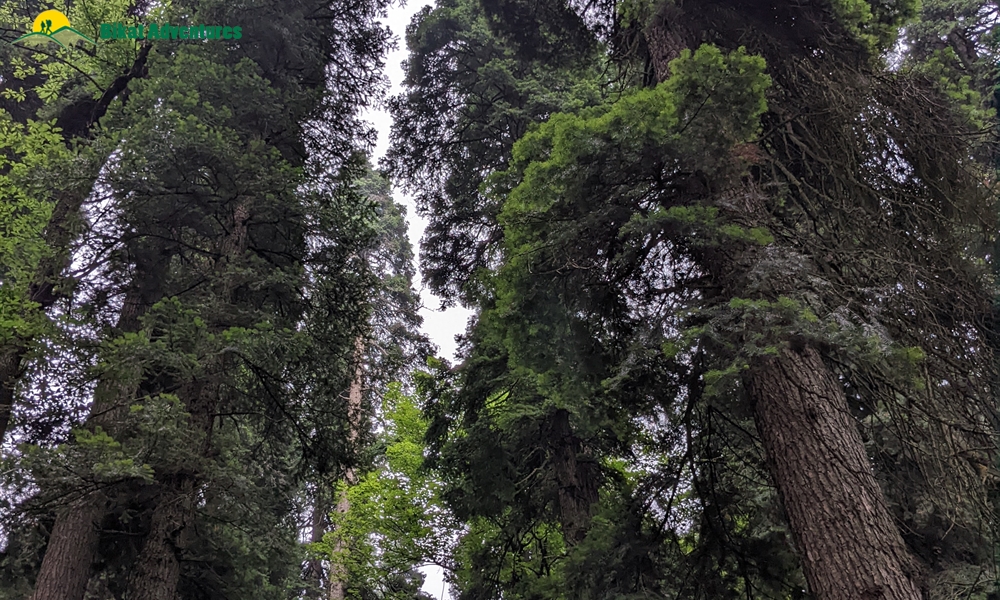 Tosa Maidan and Greater Lakes Trek: Who is this Trek Meant For?