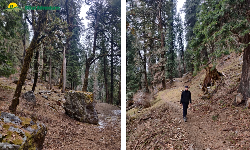 Highlights of Dodital Darwa Pass Trek