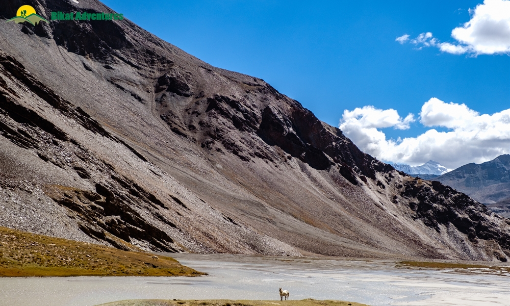 Manali-Leh-Khardung La Cycling Expedition: A Photo Story