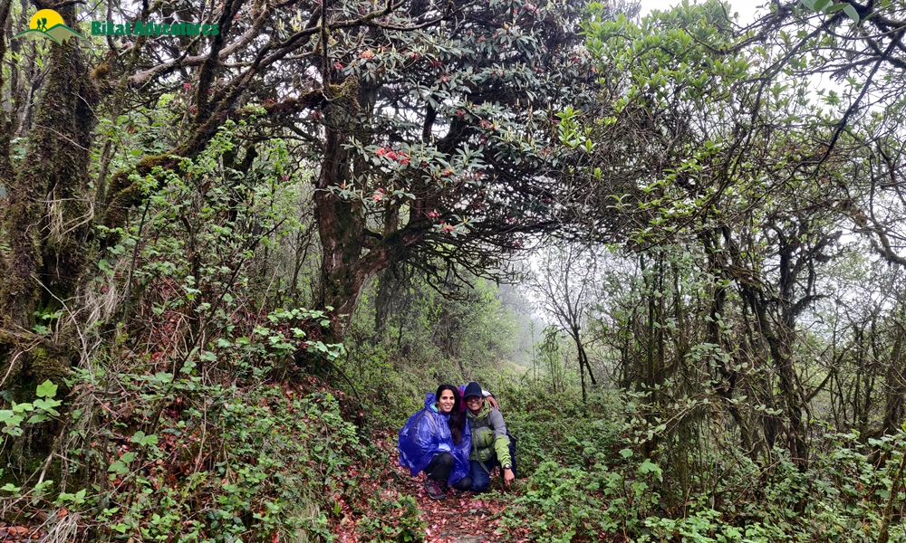Sandakphu: Who is This Trek Meant For?