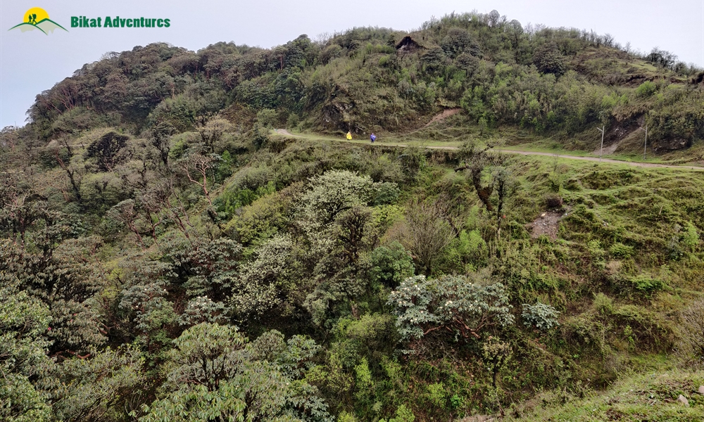 Sandakphu: Who is This Trek Meant For?