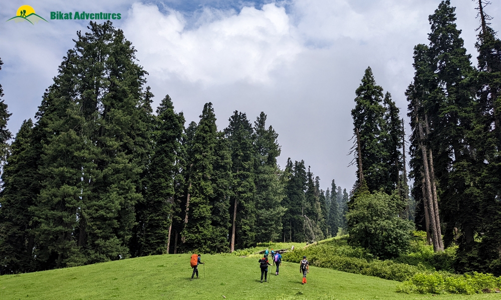 Highlights of Tosa Maidan and Greater Lakes Trek