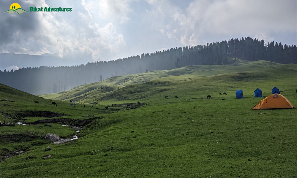 Highlights of Tosa Maidan and Greater Lakes Trek