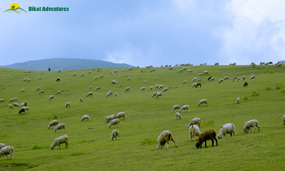 Highlights of Tosa Maidan and Greater Lakes Trek
