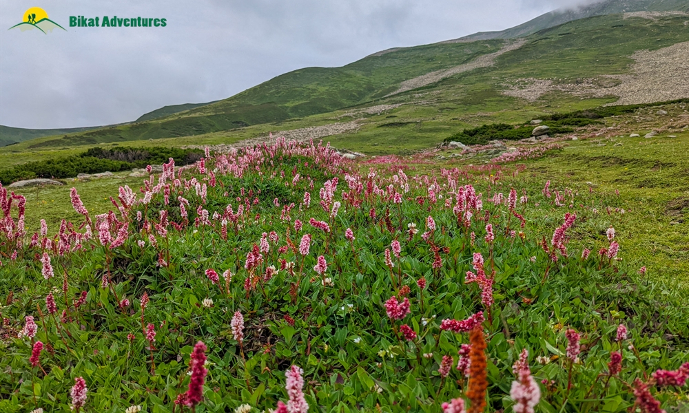 Highlights of Tosa Maidan and Greater Lakes Trek