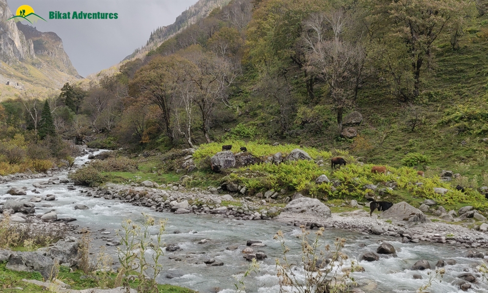 The Many Moods Of Mt. Deo Tibba: A Photo Story