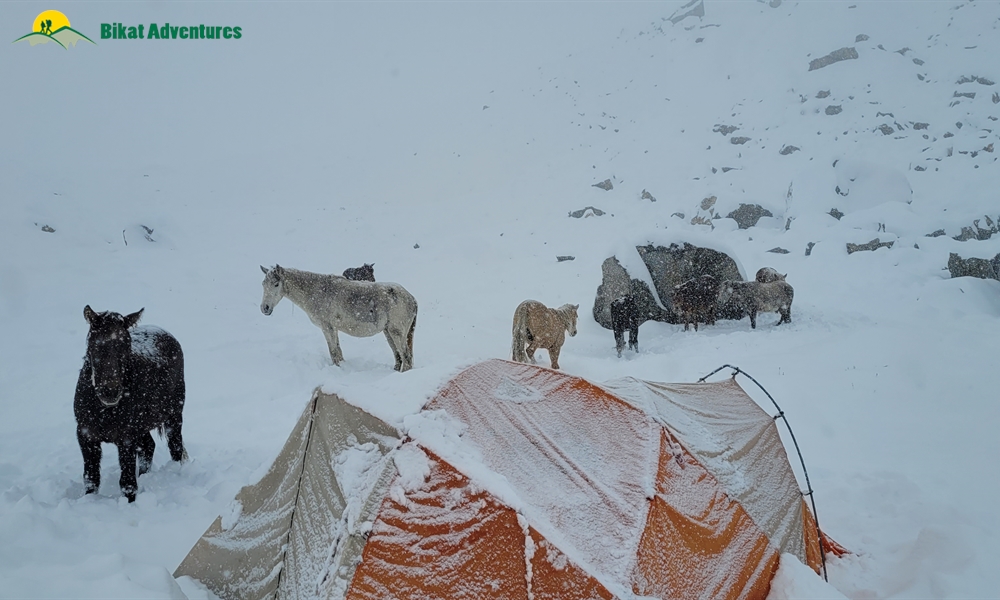 The Many Moods Of Mt. Deo Tibba: A Photo Story