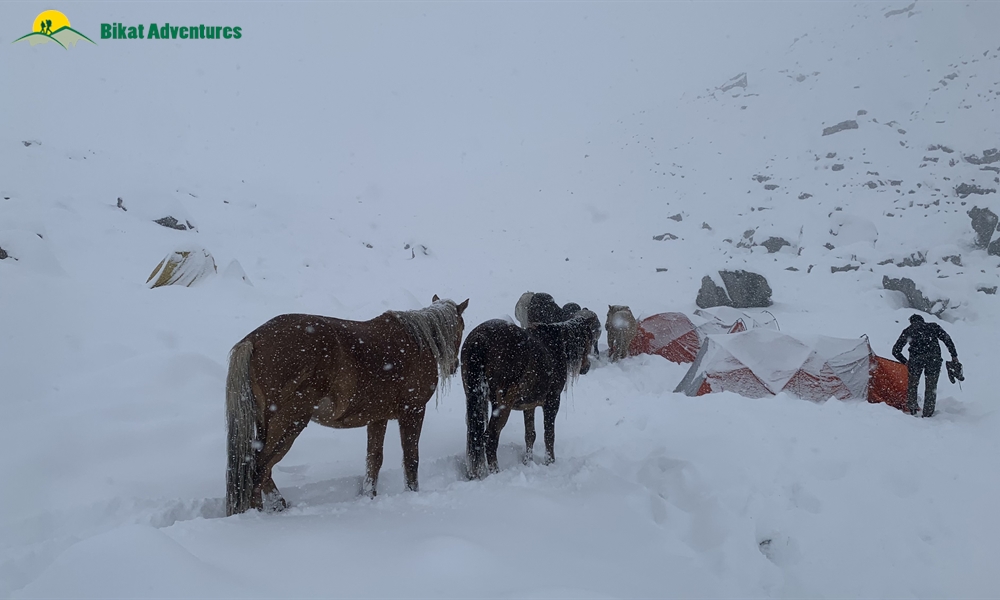 The Many Moods Of Mt. Deo Tibba: A Photo Story