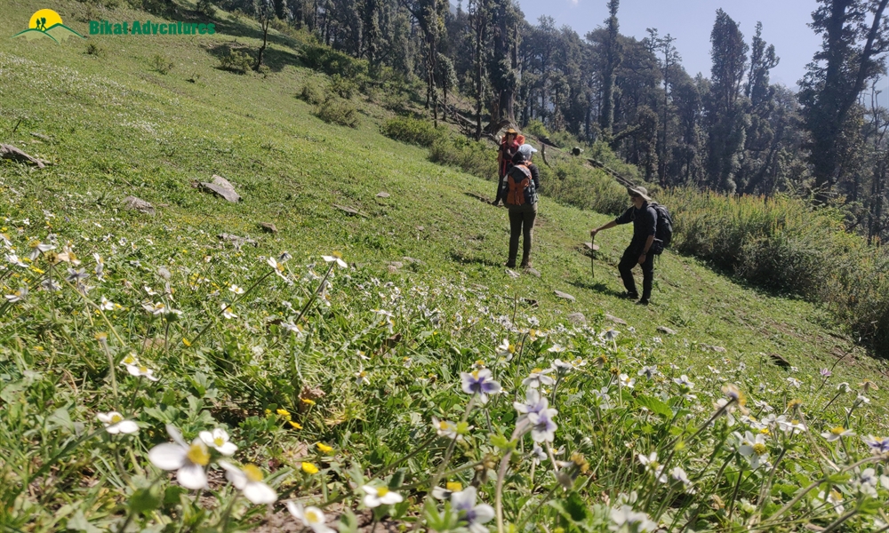 Highlights Of Baraadsar Lake