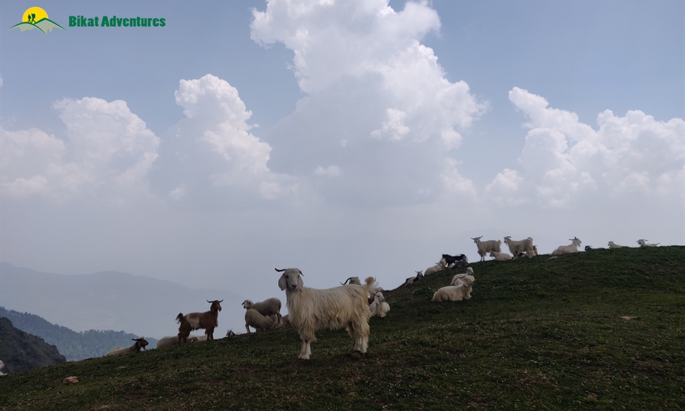 Baraadsar Lake: The Rabbit Out Of A Hat: A Photo Story