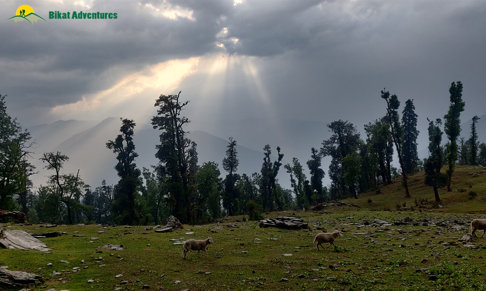 Baraadsar Lake: The Rabbit Out Of A Hat: A Photo Story