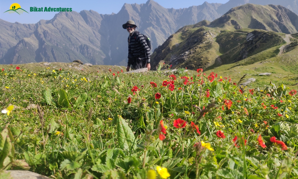 Baraadsar Lake: The Rabbit Out Of A Hat: A Photo Story