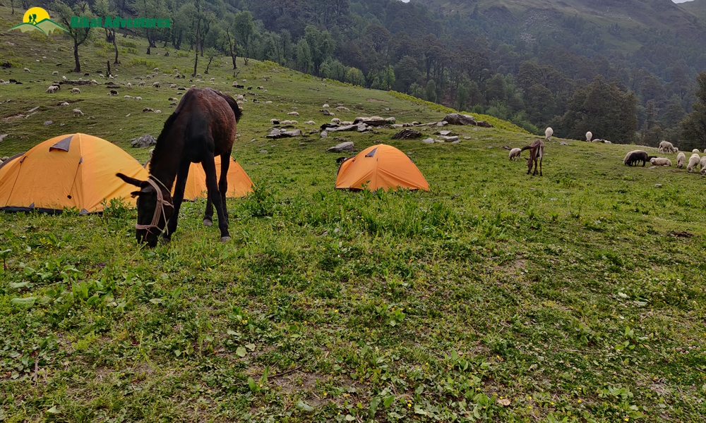 Baraadsar Lake: The Rabbit Out Of A Hat: A Photo Story