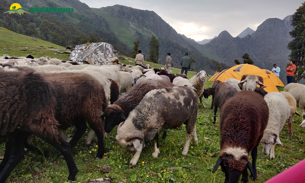 Baraadsar Lake: The Rabbit Out Of A Hat: A Photo Story