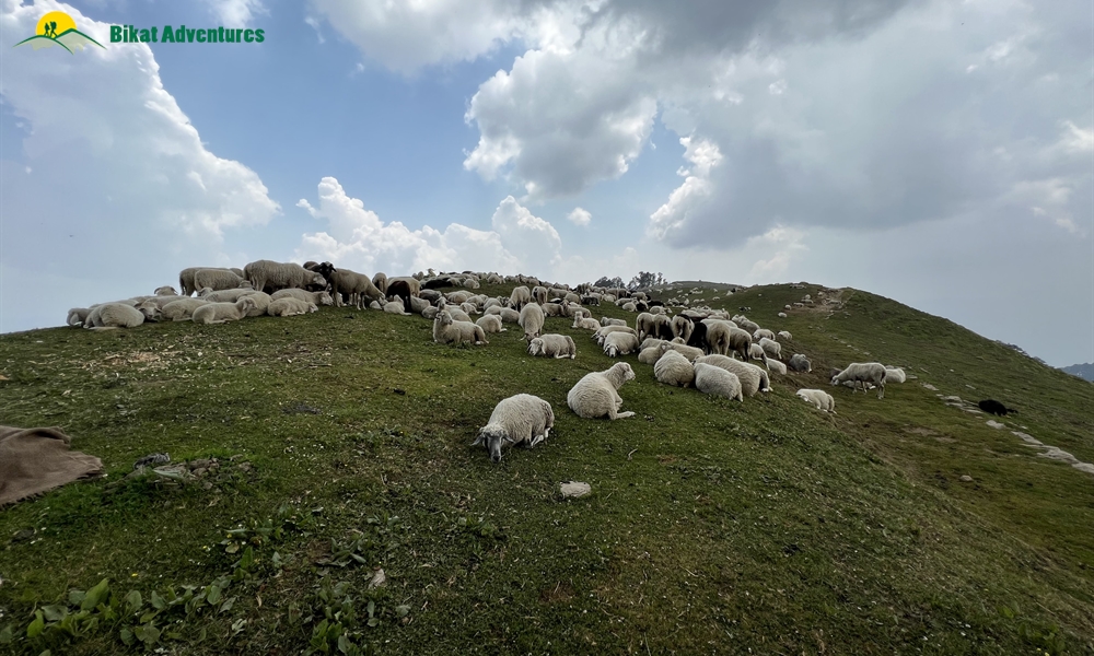 Baraadsar Lake: The Rabbit Out Of A Hat: A Photo Story