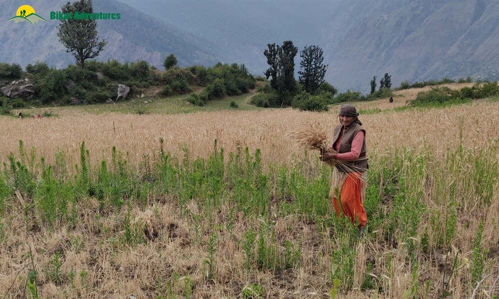 Baraadsar Lake: The Rabbit Out Of A Hat: A Photo Story