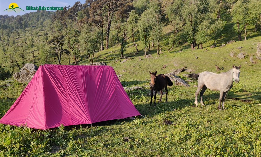 Baraadsar Lake: Who Is This Trek Meant For?