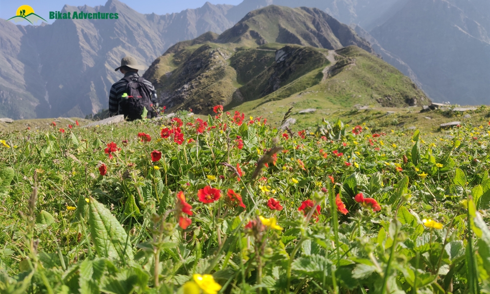 Baraadsar Lake: Who Is This Trek Meant For?