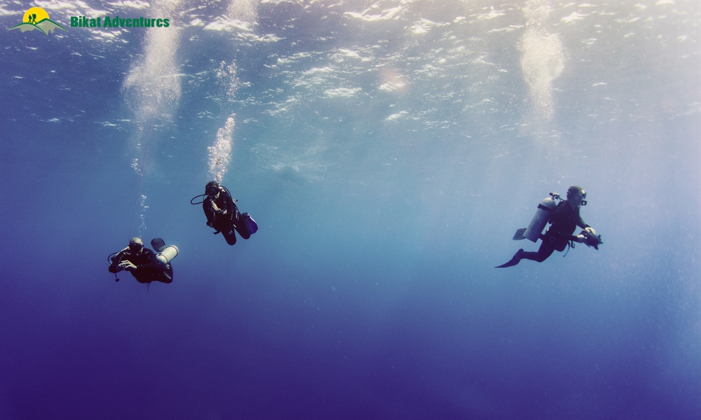 Different Levels of Recreational and Professional Scuba Certification