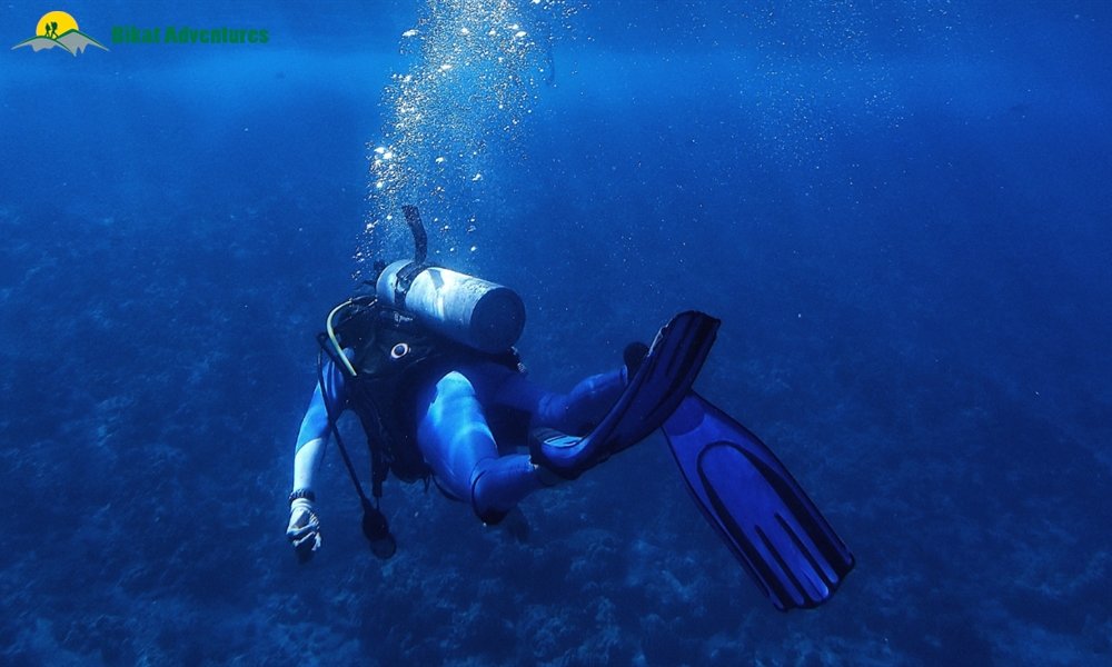 Going Deep at Johnny's and Drifting at Minerva's: Diving at Havelock's World Famous Sites