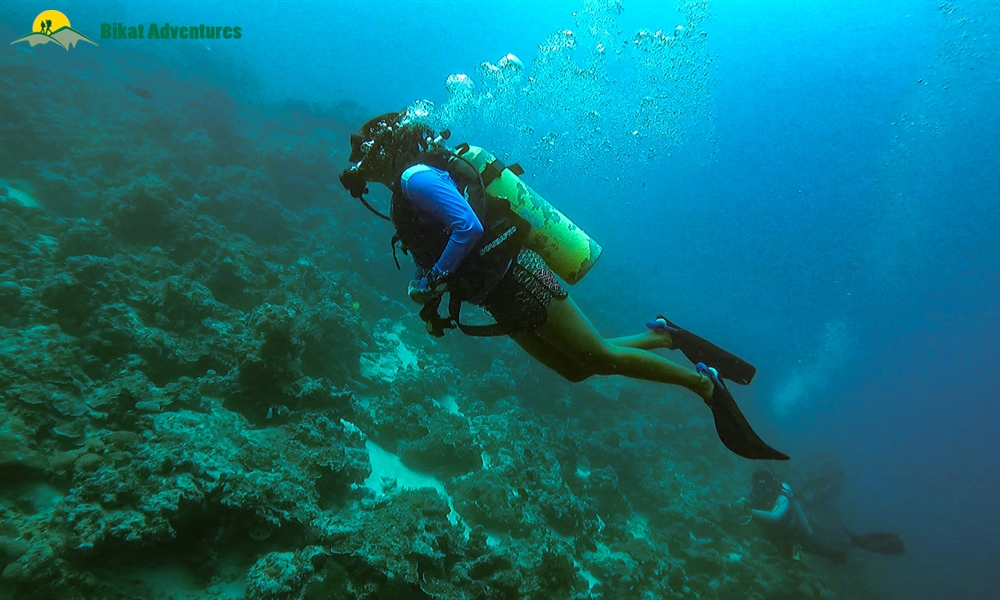 The Pristine Corals & Thriving Marine Life of Laccadive Sea: A Dive in the Lakshadweep Islands