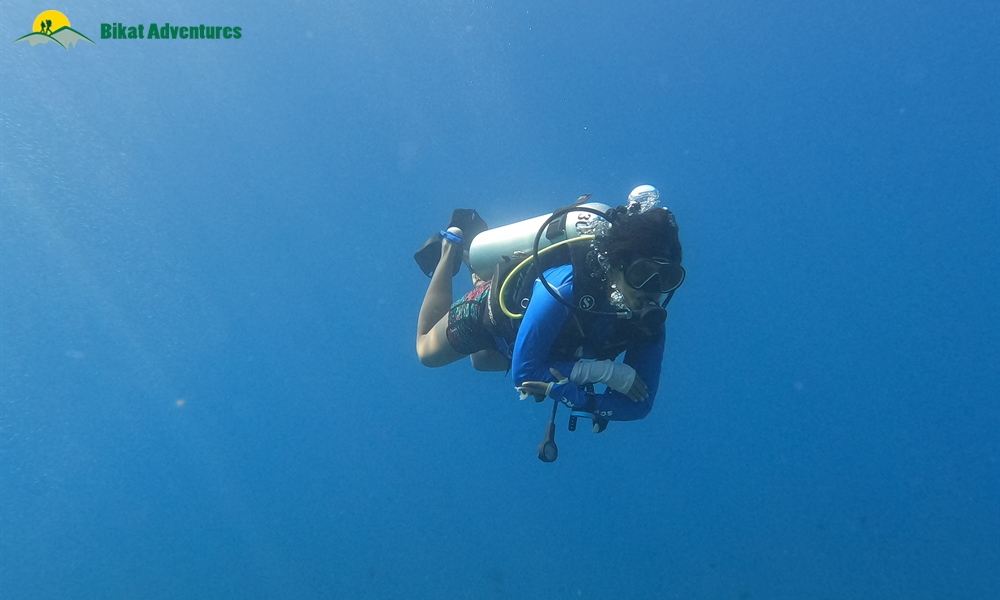 The Pristine Corals & Thriving Marine Life of Laccadive Sea: A Dive in the Lakshadweep Islands