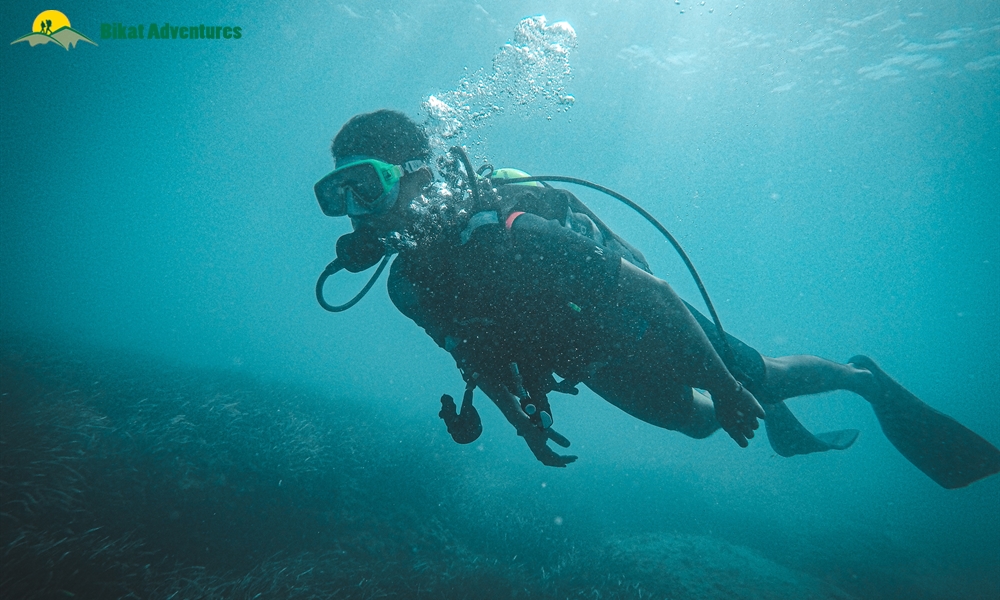 Scuba Diving in India: 10 Dive Spots to Add to Your Bucket List Right Away!