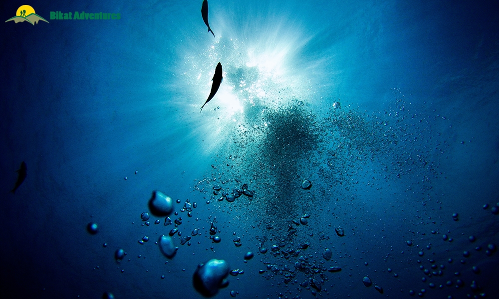 Scuba Diving in India: 10 Dive Spots to Add to Your Bucket List Right Away!
