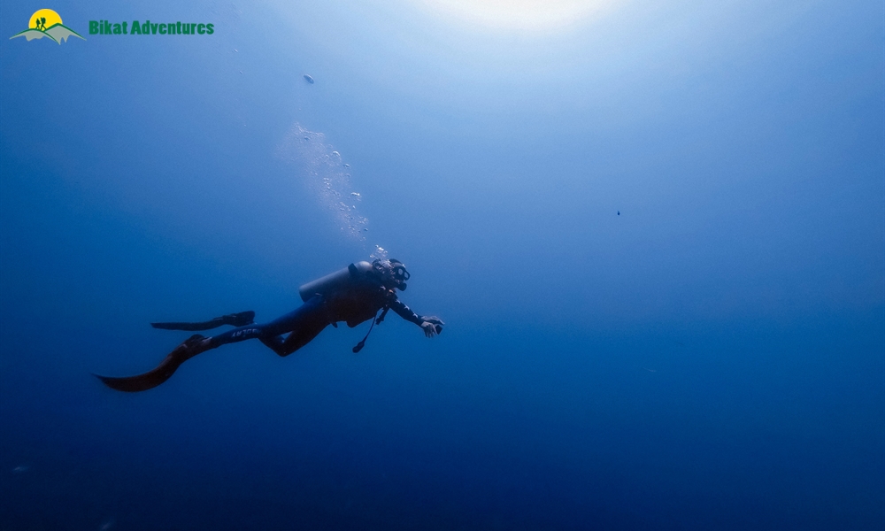 Scuba Diving Q&A: Answering Common Questions asked by Non-Divers