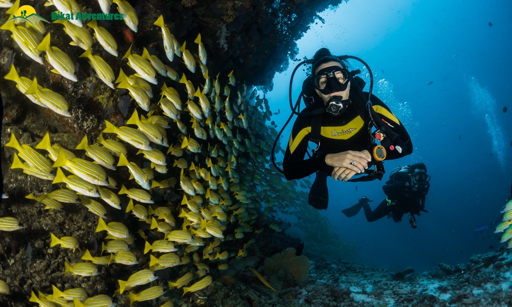 Scuba Diving Q&A: Answering Common Questions asked by Non-Divers