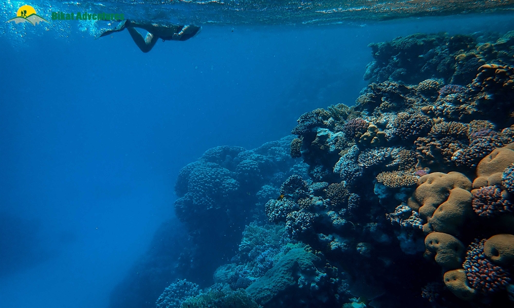 5 Reasons To Go Scuba Diving In India At Least Once In Your Lifetime