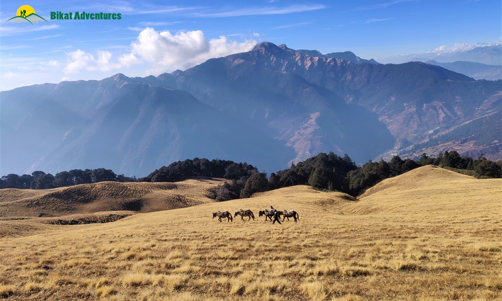 Ali Bedni Bugyal: Who is This Trek Meant For?