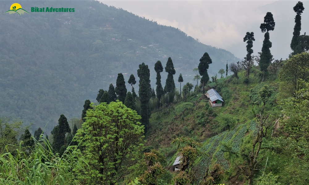 Highlights of Sandakphu Trek