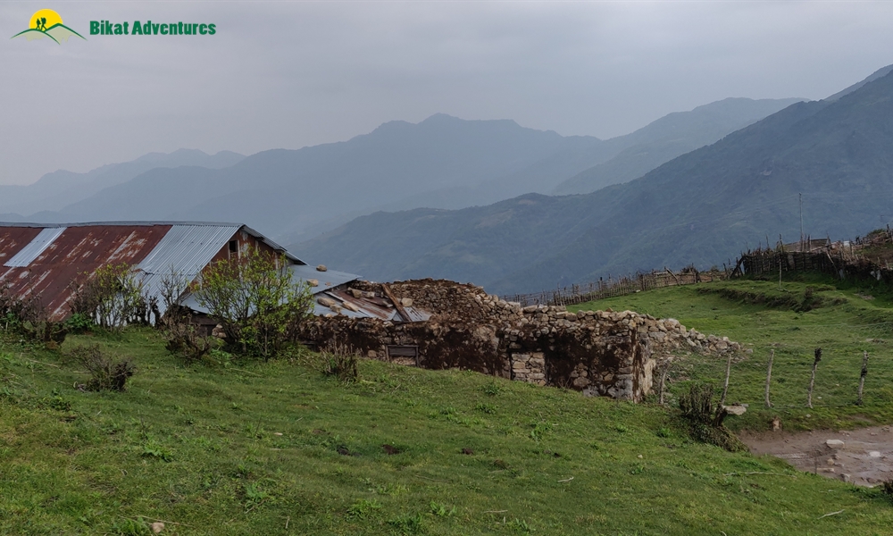 The Visual Wonders of Sandakphu Trek: A Photo Story