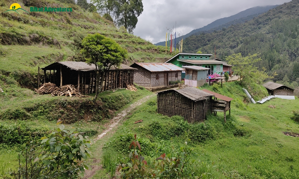 The Visual Wonders of Sandakphu Trek: A Photo Story