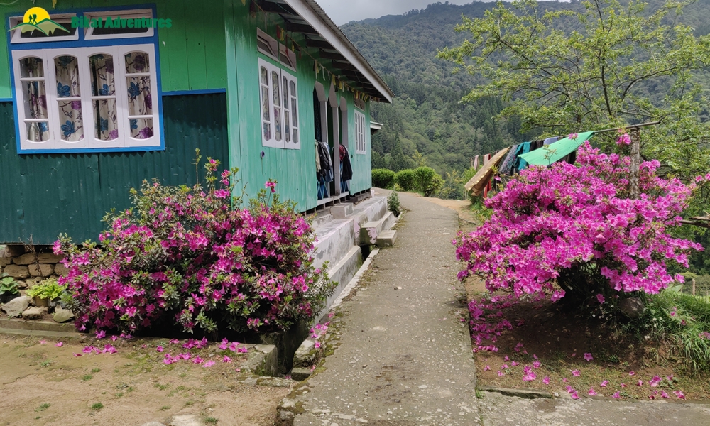 The Visual Wonders of Sandakphu Trek: A Photo Story