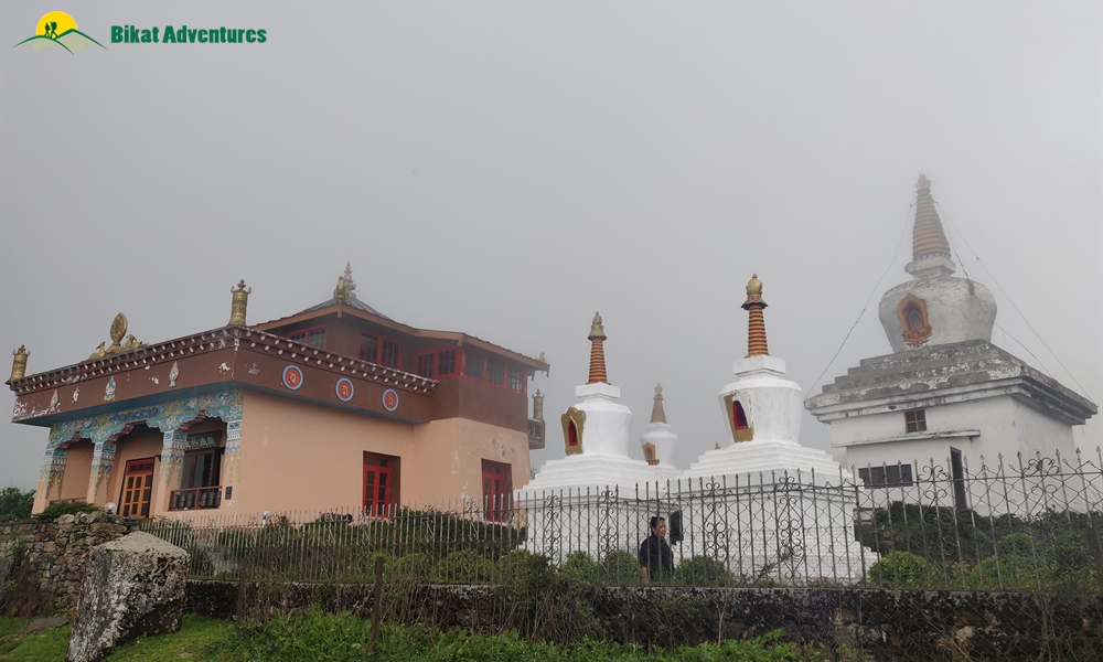 The Visual Wonders of Sandakphu Trek: A Photo Story