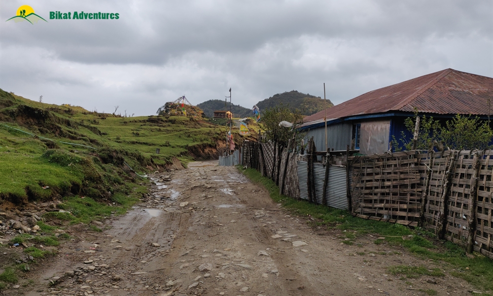 The Visual Wonders of Sandakphu Trek: A Photo Story