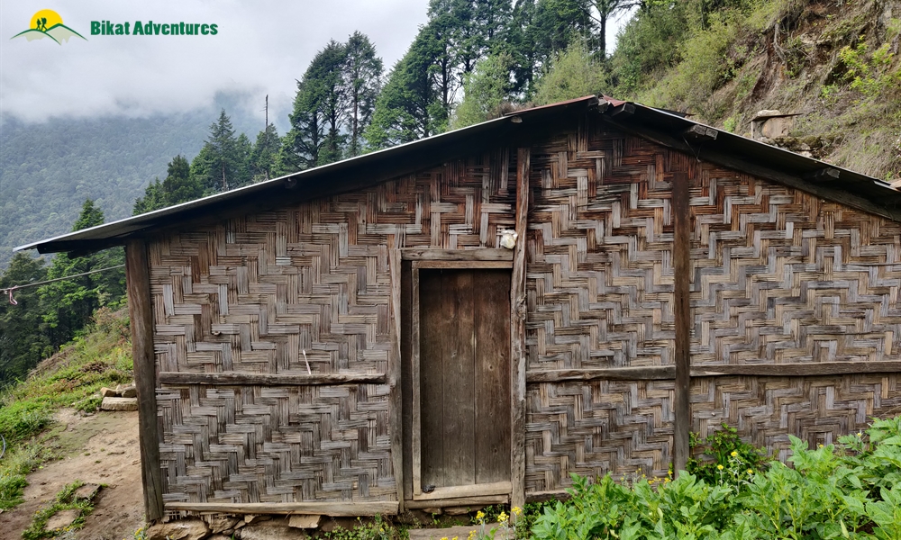 The Visual Wonders of Sandakphu Trek: A Photo Story