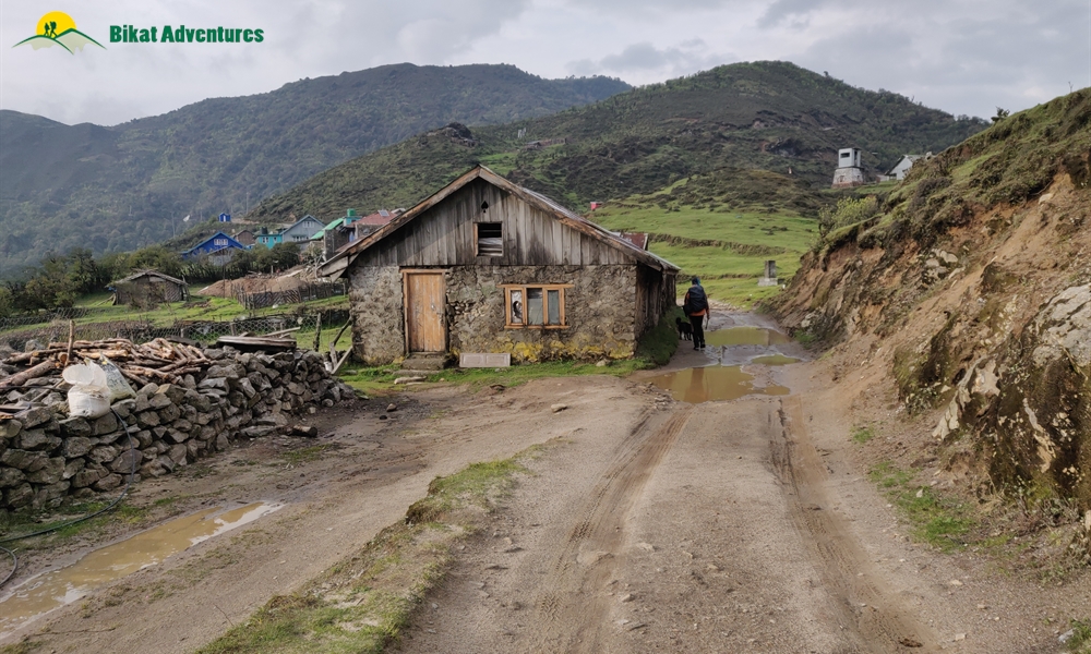 The Visual Wonders of Sandakphu Trek: A Photo Story