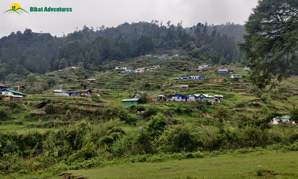 The Visual Wonders of Sandakphu Trek: A Photo Story