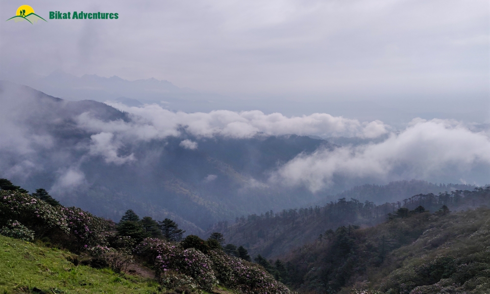 The Visual Wonders of Sandakphu Trek: A Photo Story