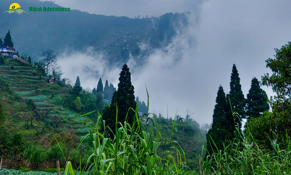 The Visual Wonders of Sandakphu Trek: A Photo Story