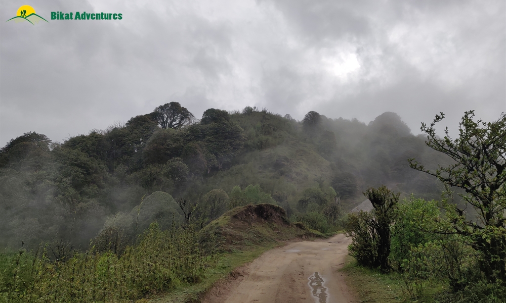 The Visual Wonders of Sandakphu Trek: A Photo Story