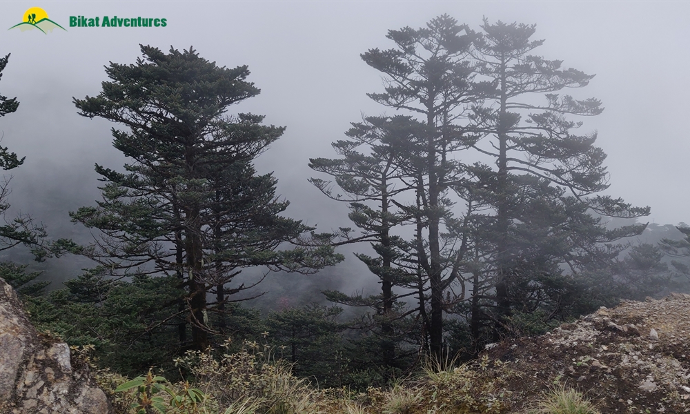 The Visual Wonders of Sandakphu Trek: A Photo Story