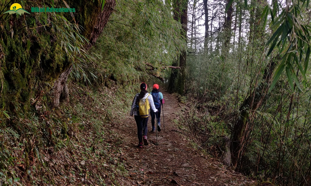 The Visual Wonders of Sandakphu Trek: A Photo Story