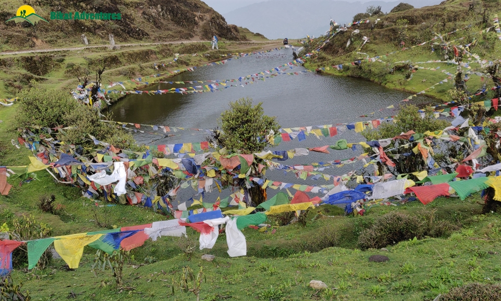 The Visual Wonders of Sandakphu Trek: A Photo Story