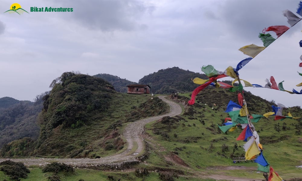 The Visual Wonders of Sandakphu Trek: A Photo Story